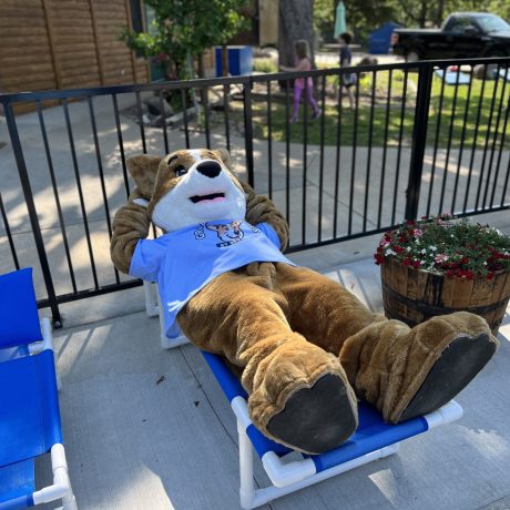 Biscuit the camp mascot relaxing on a pool lounge chair at Great Escapes RV Resorts Branson