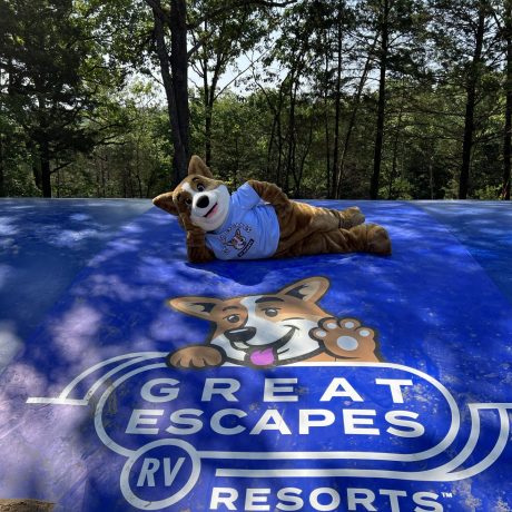 Biscuit camp mascot laying on jumping pillow | amenity at Great Escapes RV Resorts Branson MO