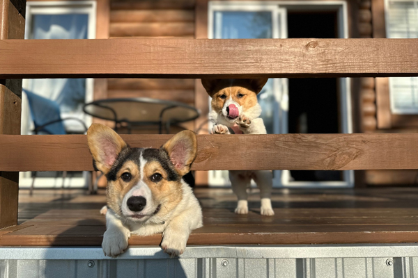 Pet-friendly Vacation at Great Escapes RV Resorts Branson