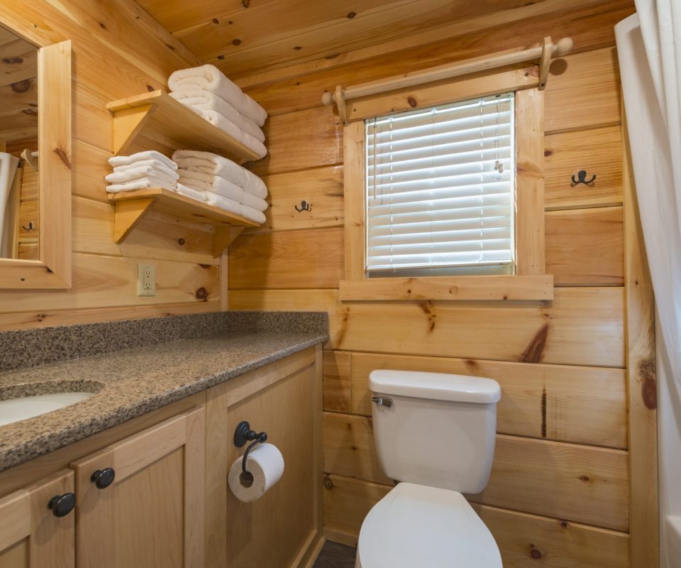 bathroom the Riverview cabin rental